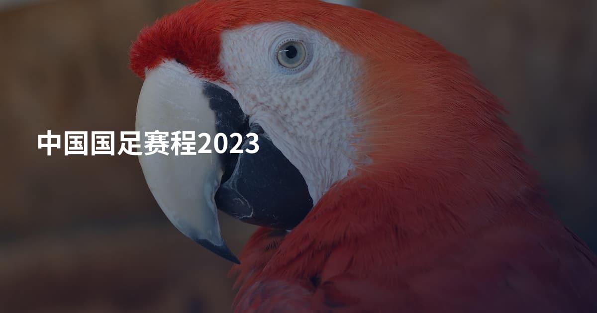 中国国足赛程2023