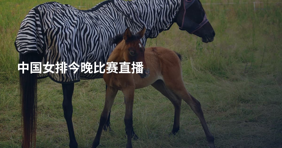 中国女排今晚比赛直播