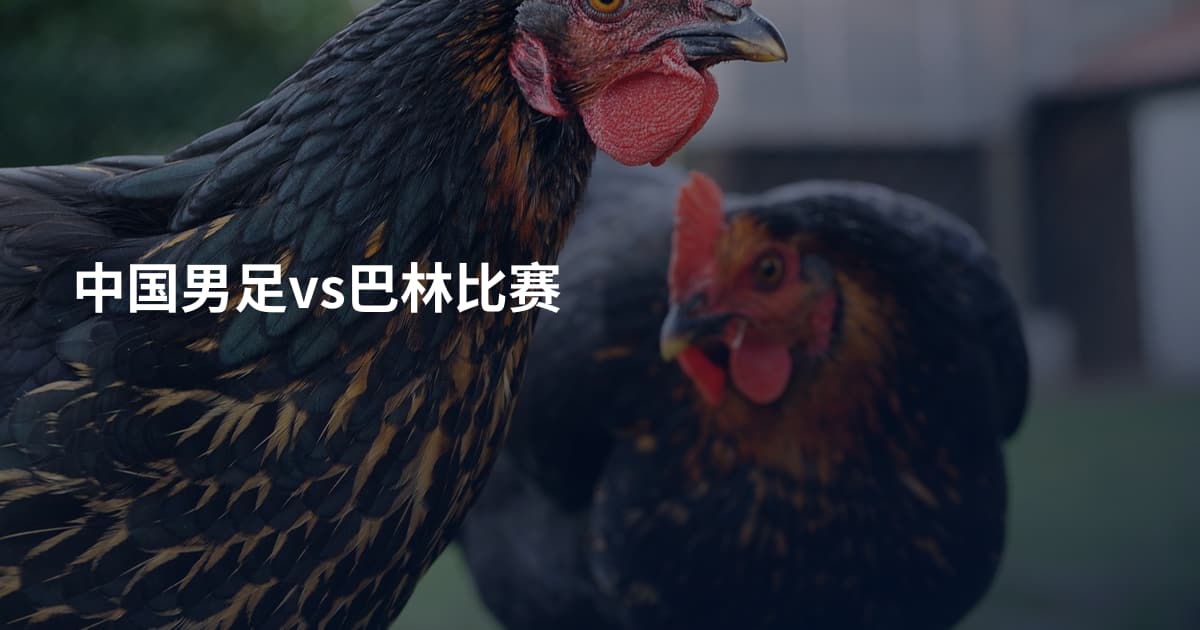 中国男足vs巴林比赛