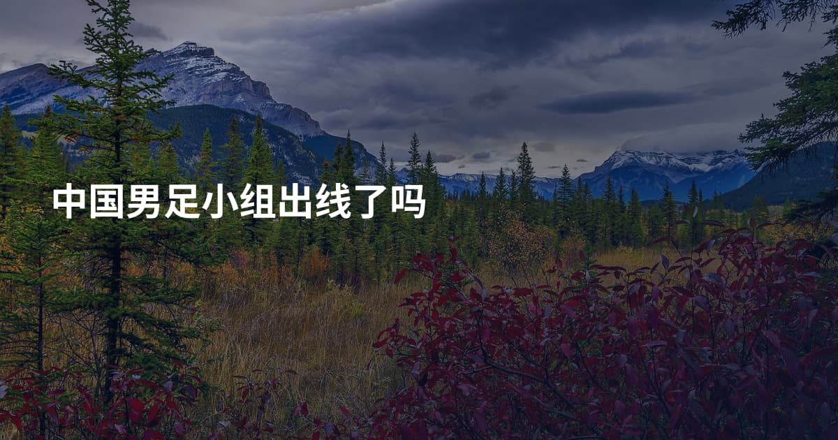 中国男足小组出线了吗