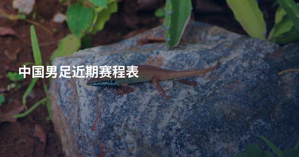 中国男足近期赛程表