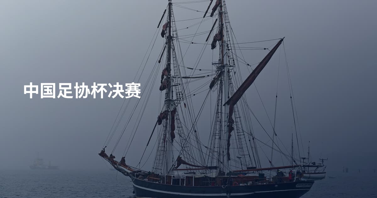 中国足协杯决赛