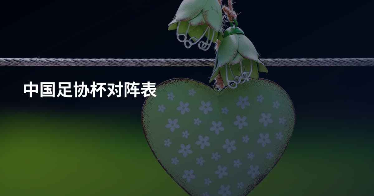 中国足协杯对阵表