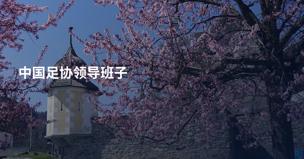 中国足协领导班子