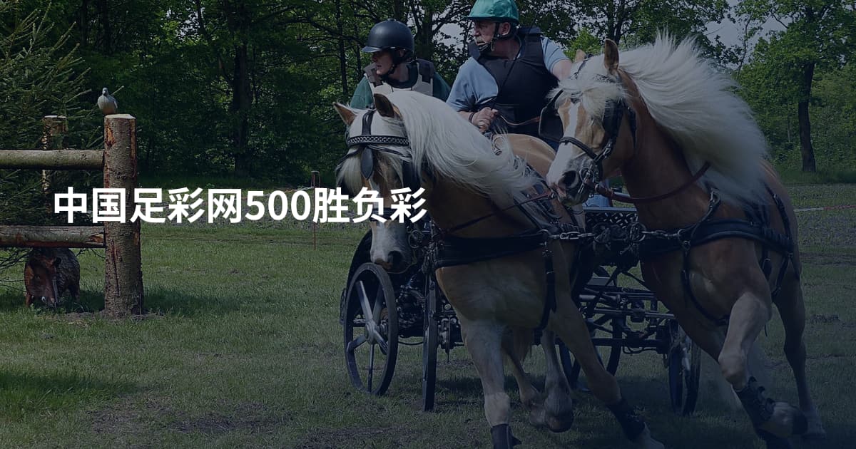 中国足彩网500胜负彩