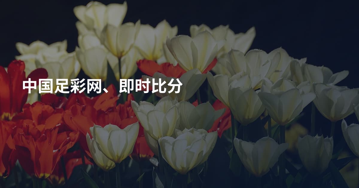 中国足彩网、即时比分