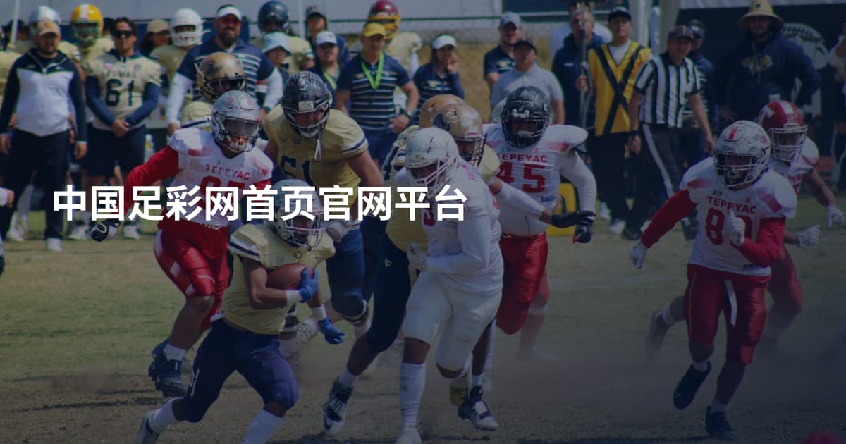 中国足彩网首页官网平台