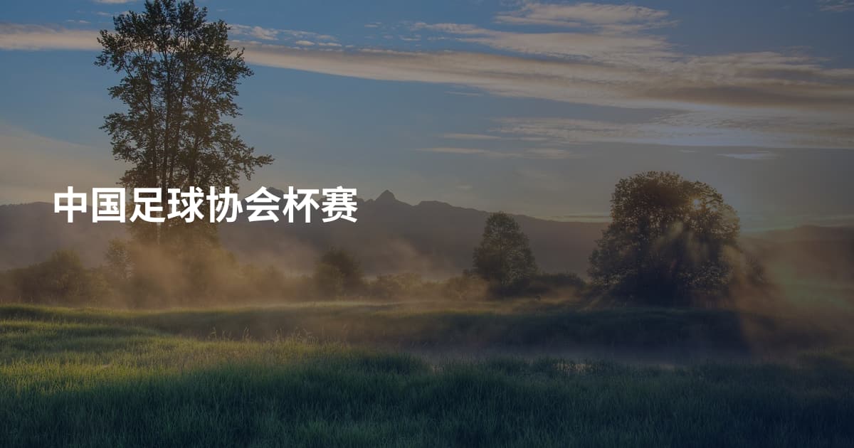 中国足球协会杯赛