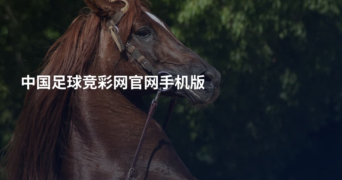 中国足球竞彩网官网手机版