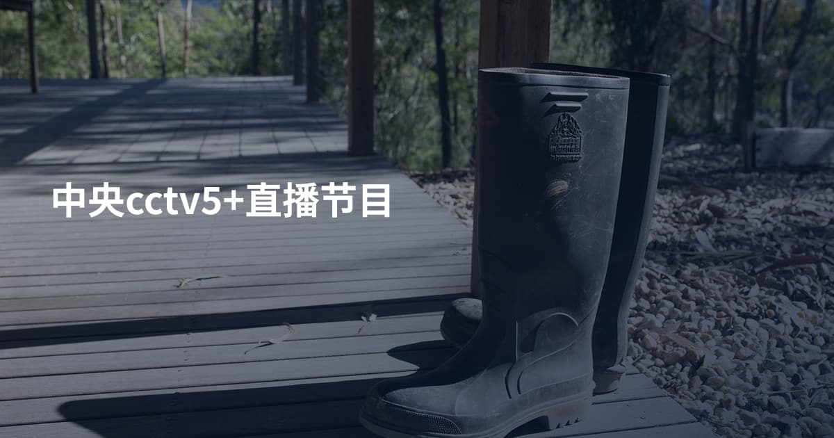 中央cctv5+直播节目