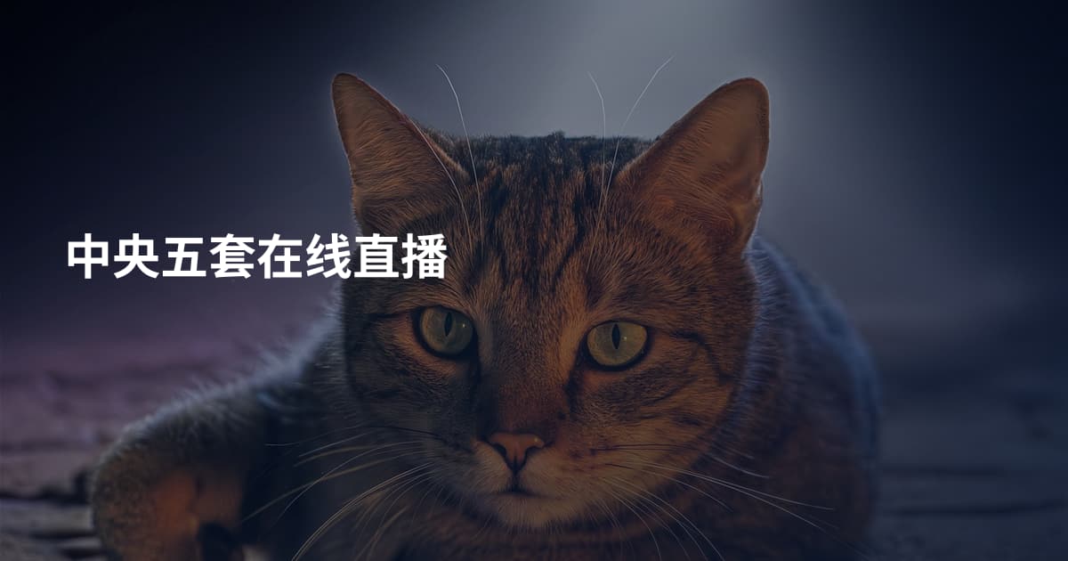 中央五套在线直播