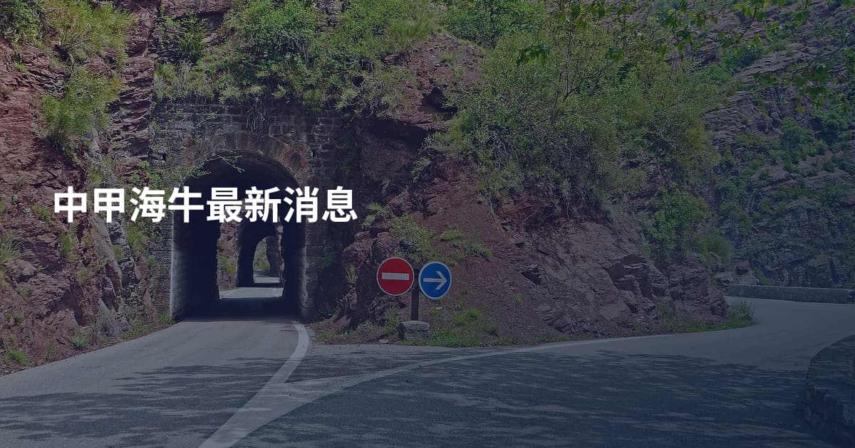 中甲海牛最新消息