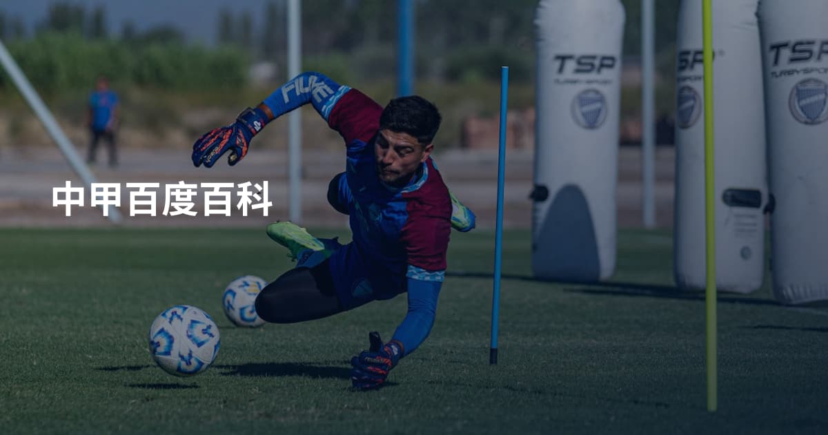 中甲百度百科