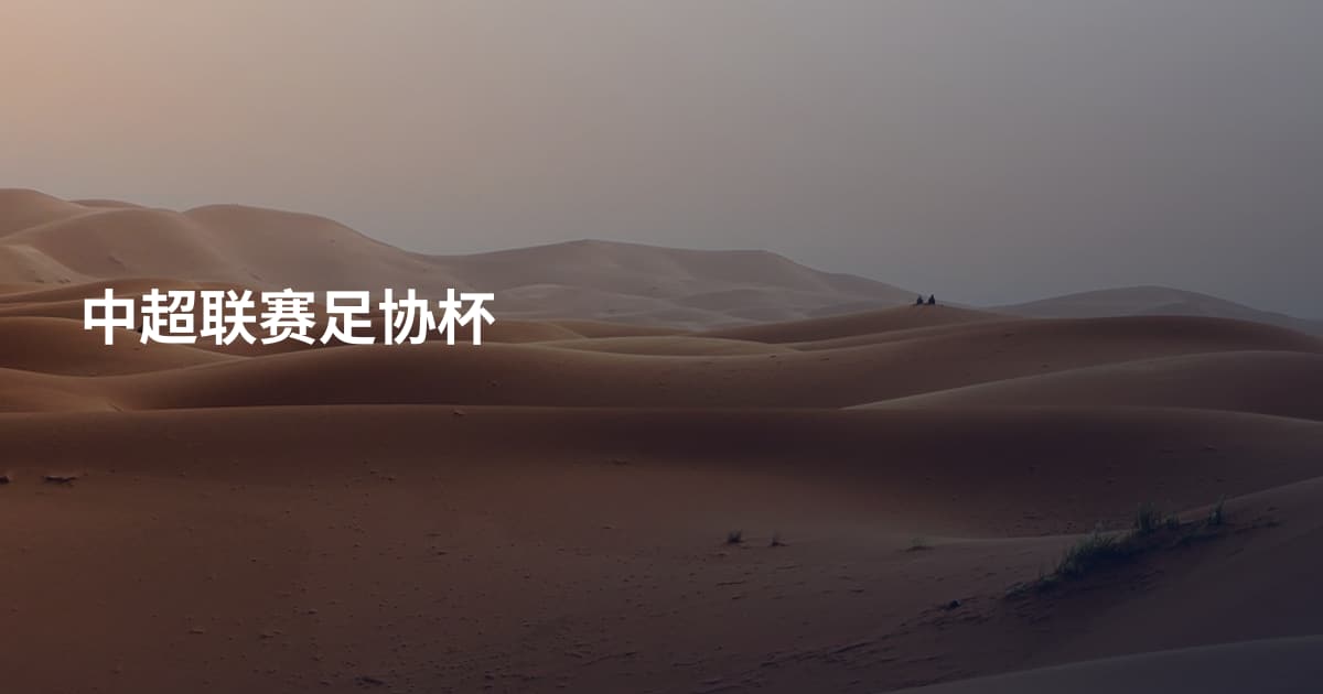 中超联赛足协杯