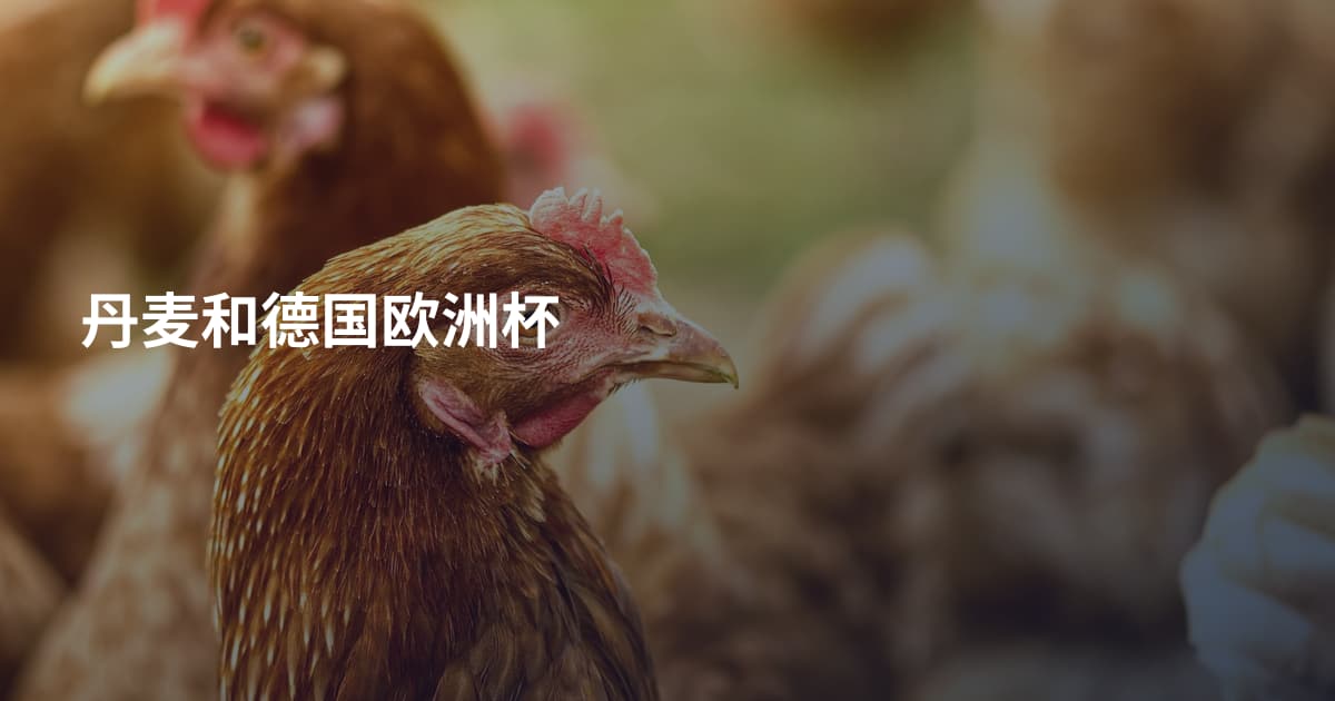 丹麦和德国欧洲杯