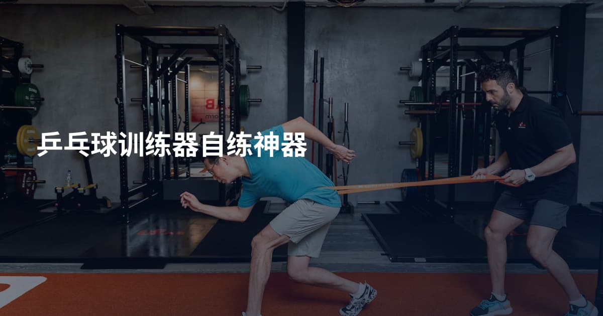 乒乓球训练器自练神器