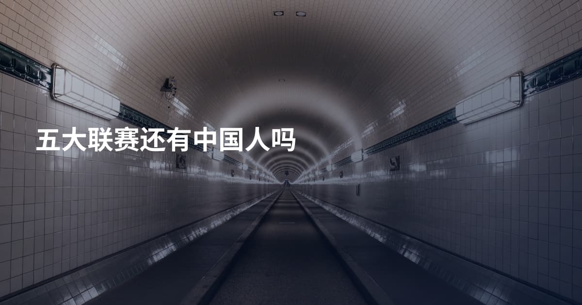五大联赛还有中国人吗
