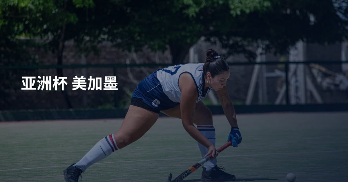 亚洲杯 美加墨