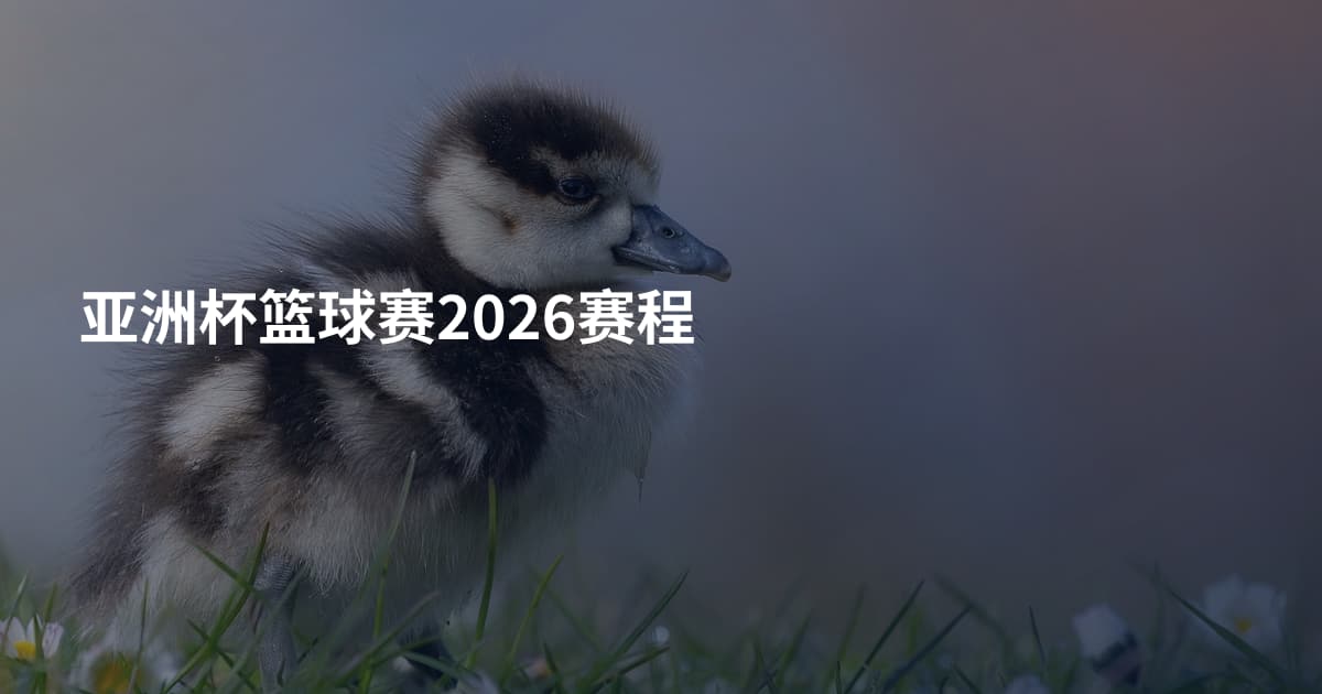 亚洲杯篮球赛2026赛程