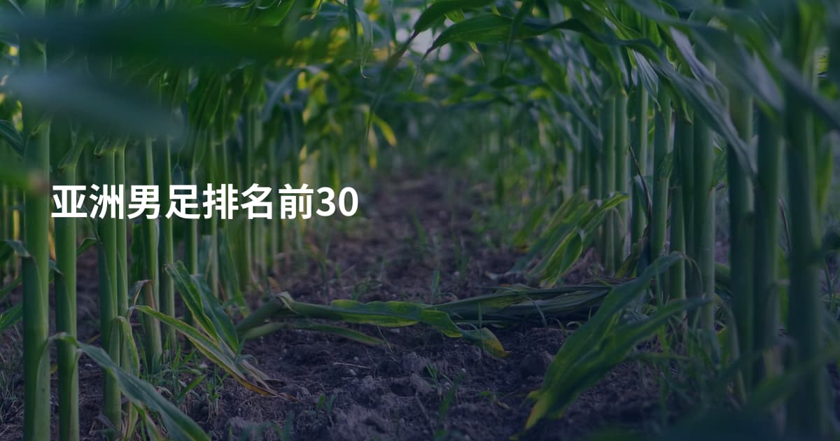 亚洲男足排名前30