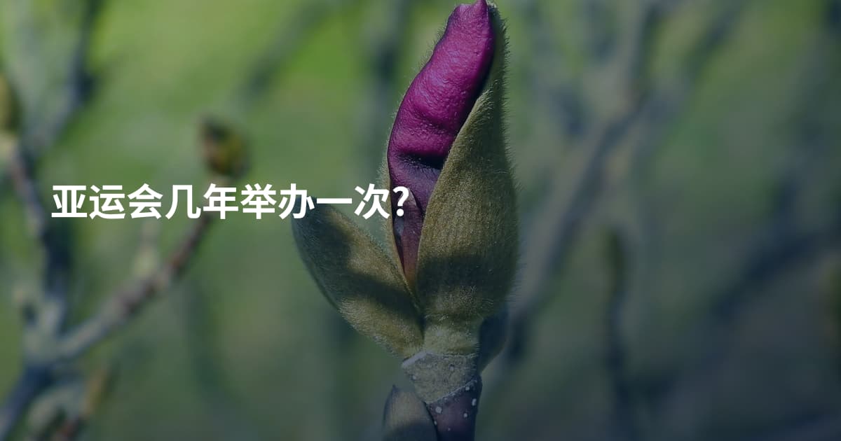亚运会几年举办一次?