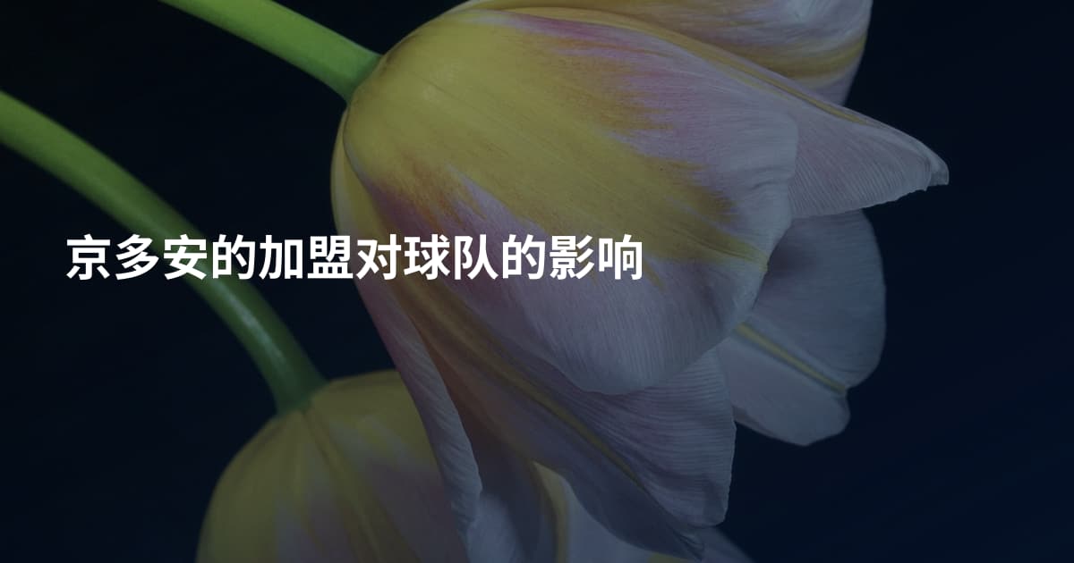 京多安的加盟对球队的影响