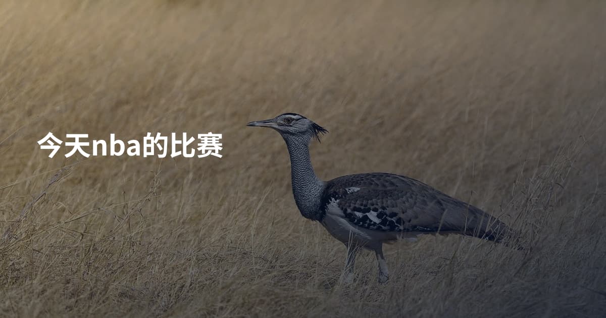 今天nba的比赛