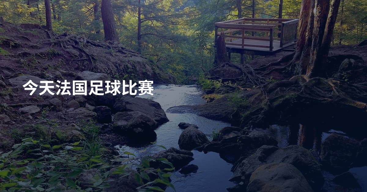 今天法国足球比赛