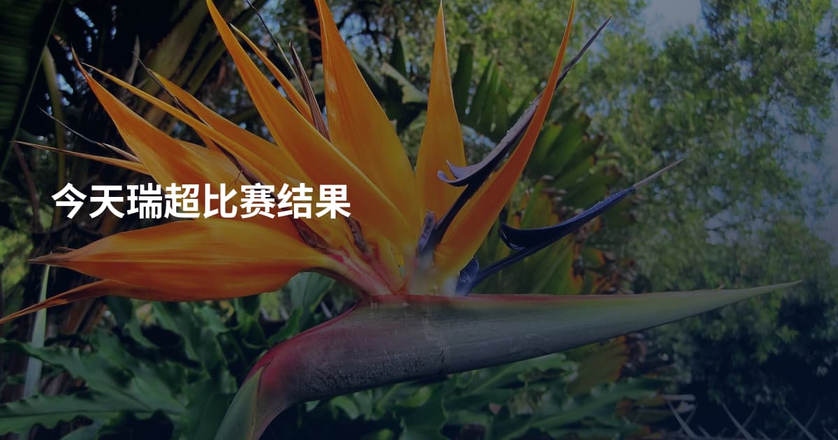 今天瑞超比赛结果