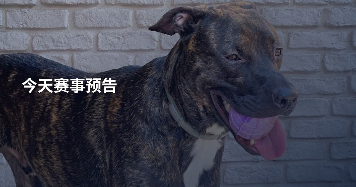今天赛事预告