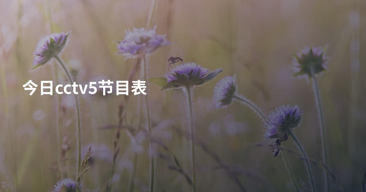 今日cctv5节目表