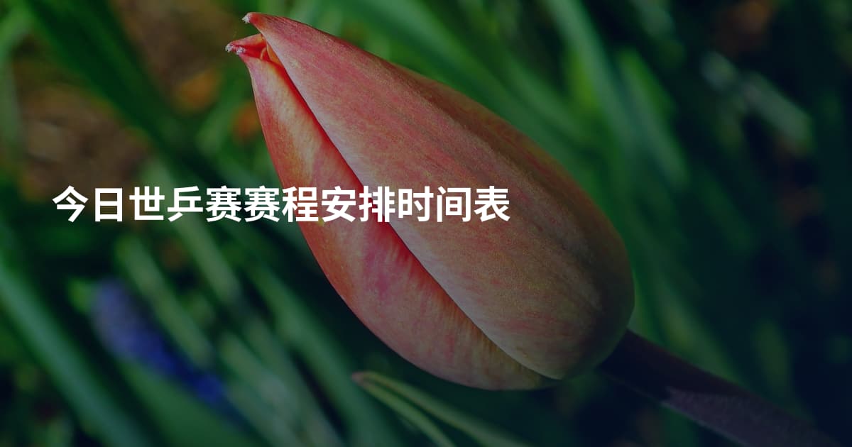 今日世乒赛赛程安排时间表