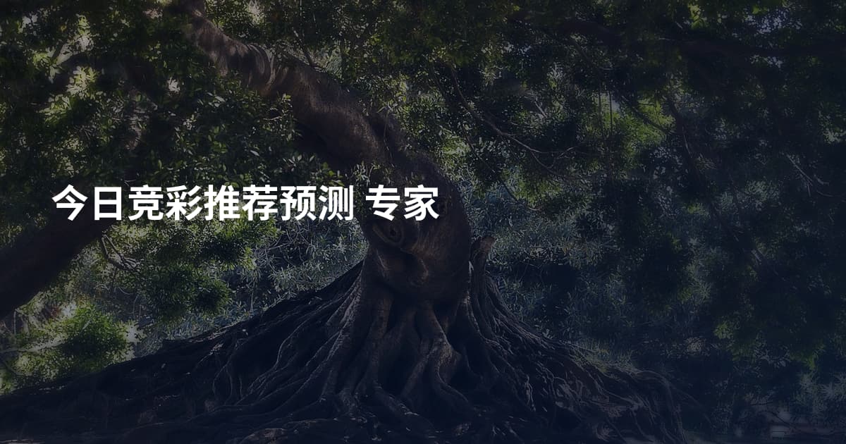 今日竞彩推荐预测 专家