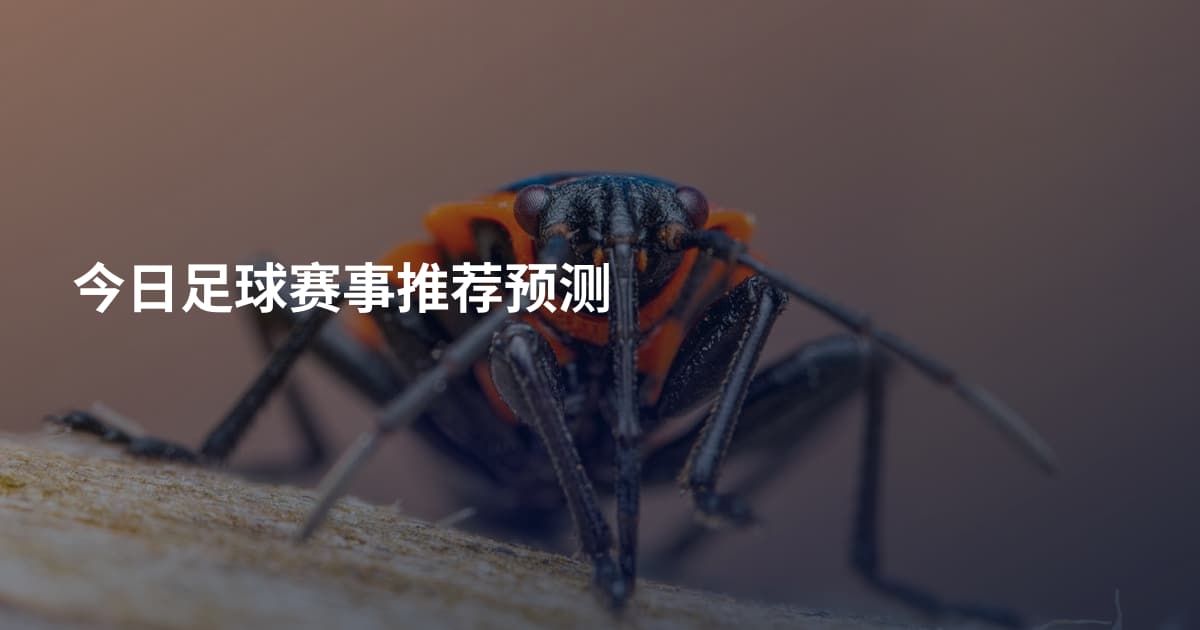 今日足球赛事推荐预测