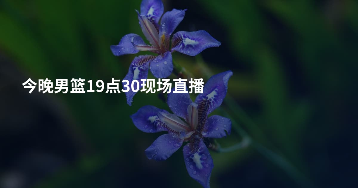 今晚男篮19点30现场直播