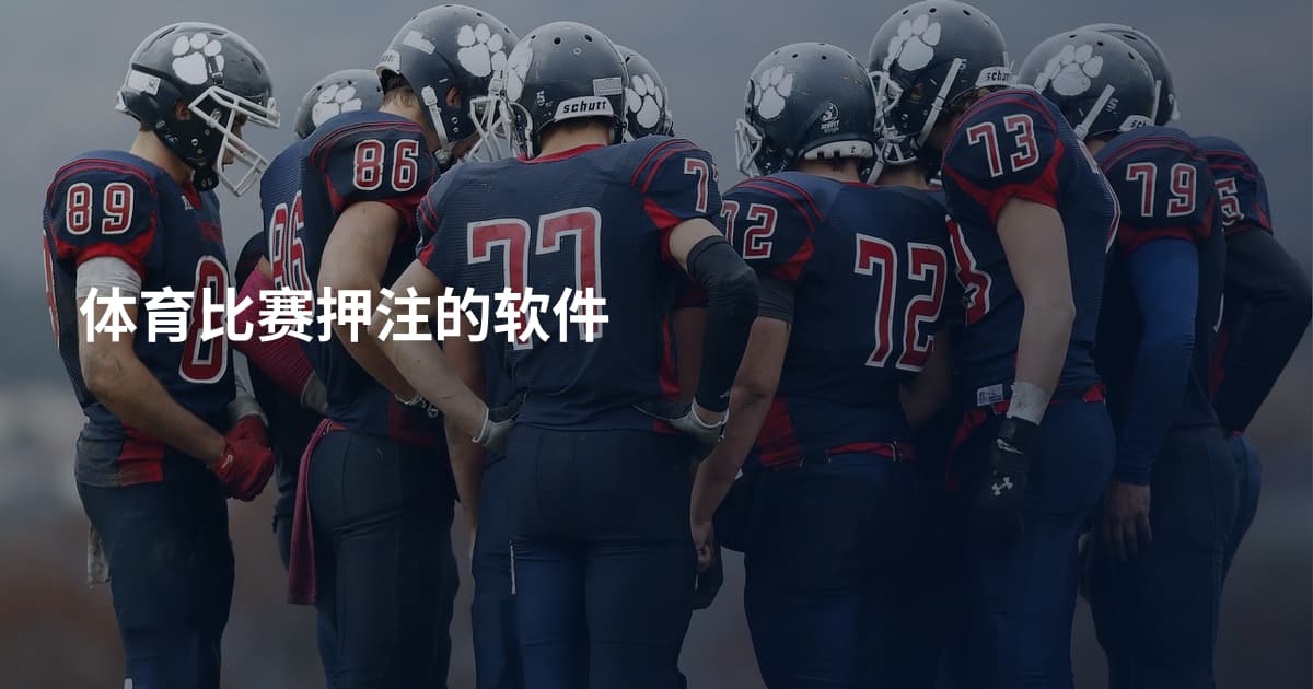 体育比赛押注的软件
