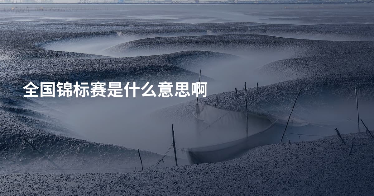 全国锦标赛是什么意思啊