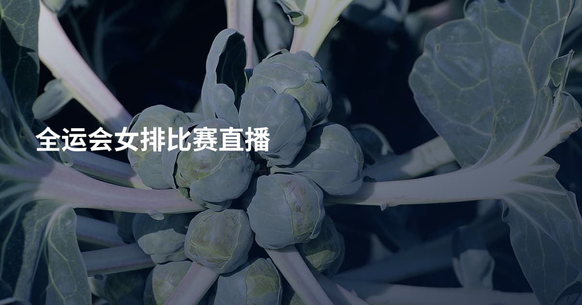 全运会女排比赛直播