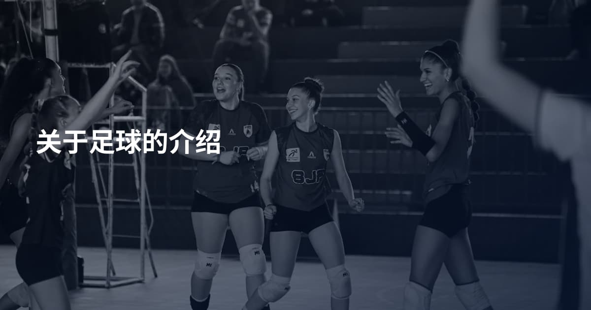 关于足球的介绍