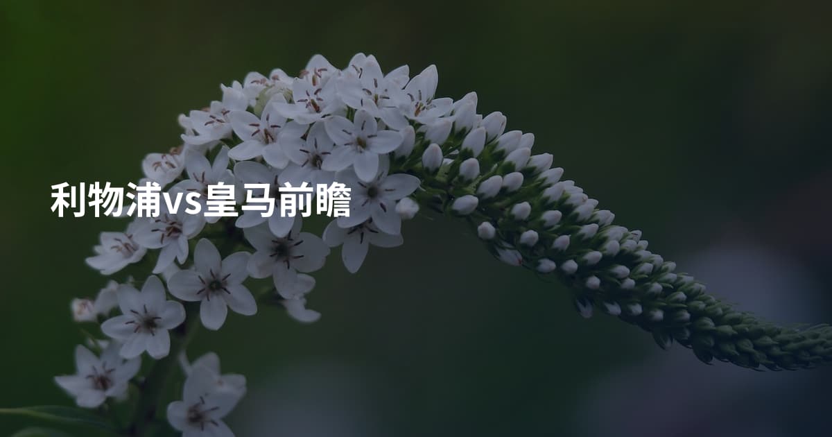 利物浦vs皇马前瞻