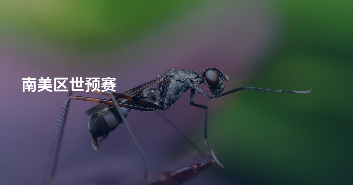 南美区世预赛