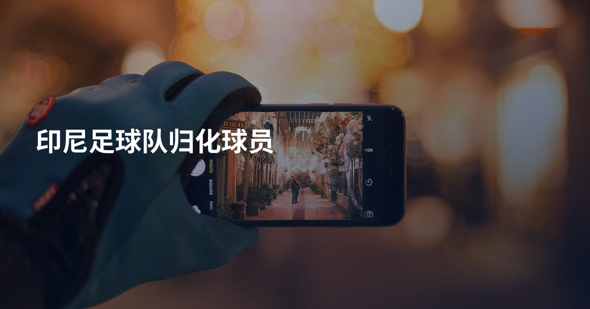 印尼足球队归化球员
