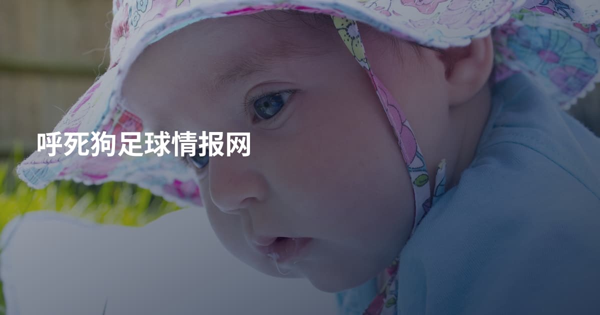 呼死狗足球情报网