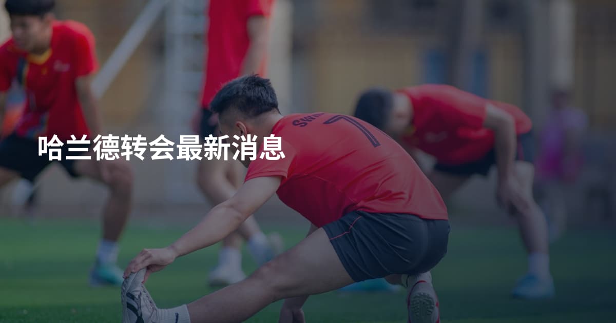 哈兰德转会最新消息
