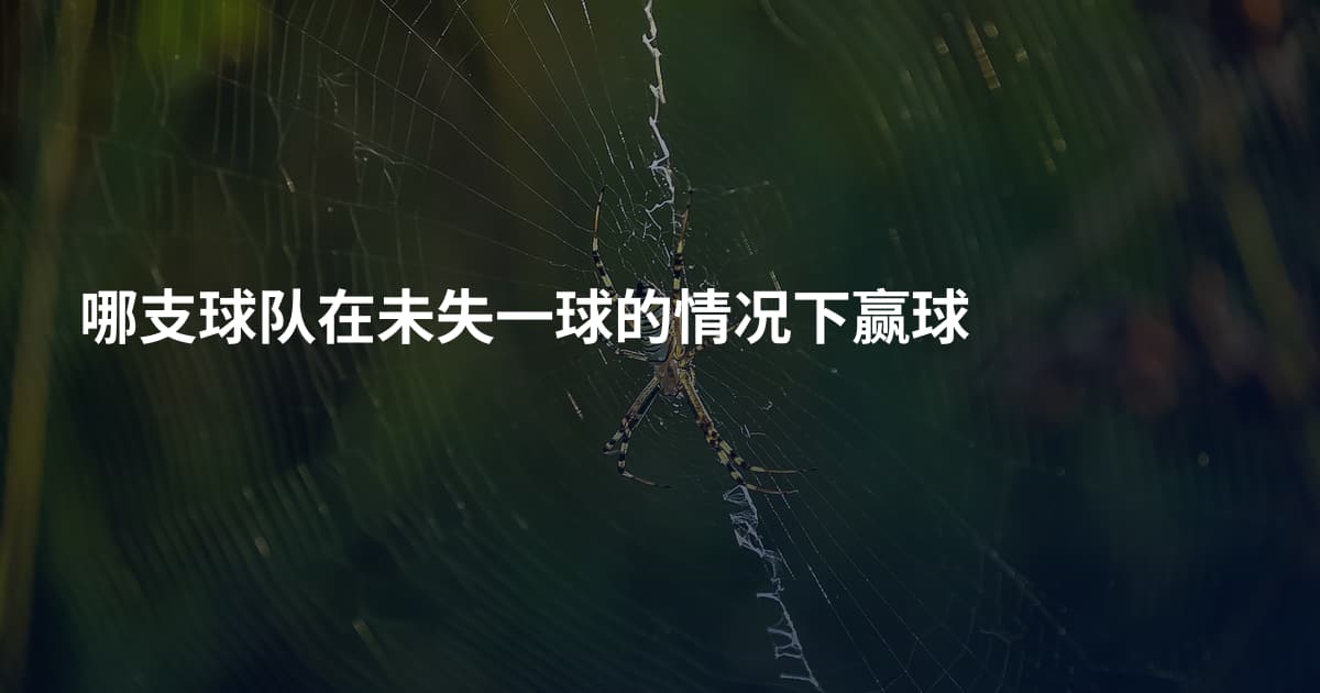 哪支球队在未失一球的情况下赢球