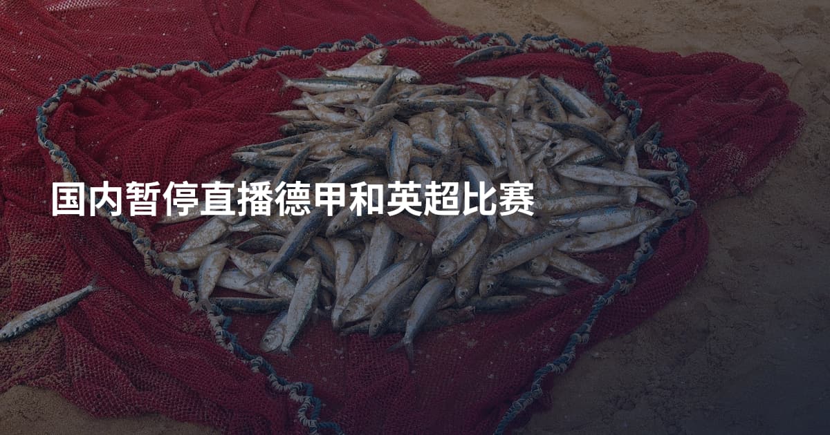 国内暂停直播德甲和英超比赛