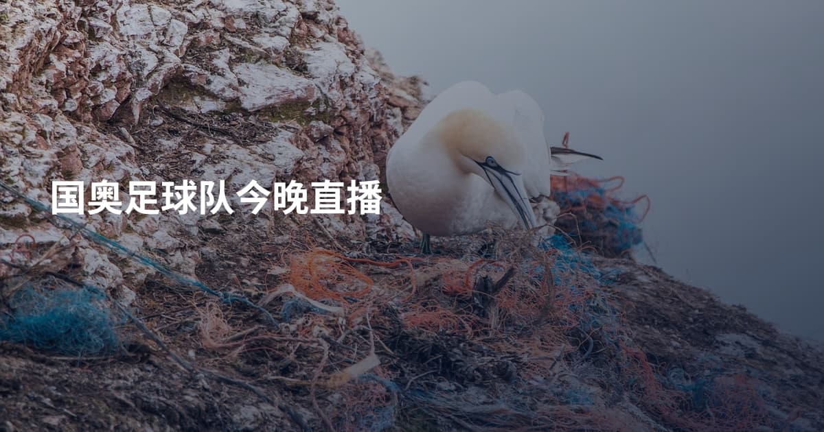 国奥足球队今晚直播
