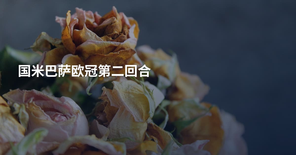 国米巴萨欧冠第二回合