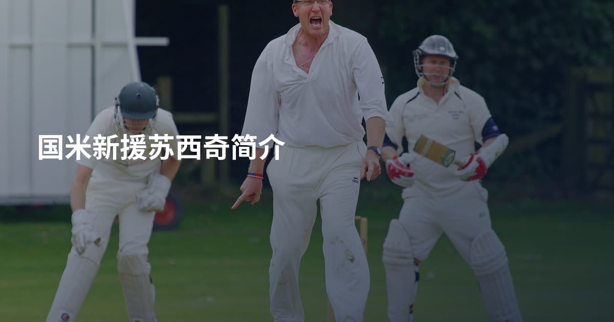 国米新援苏西奇简介