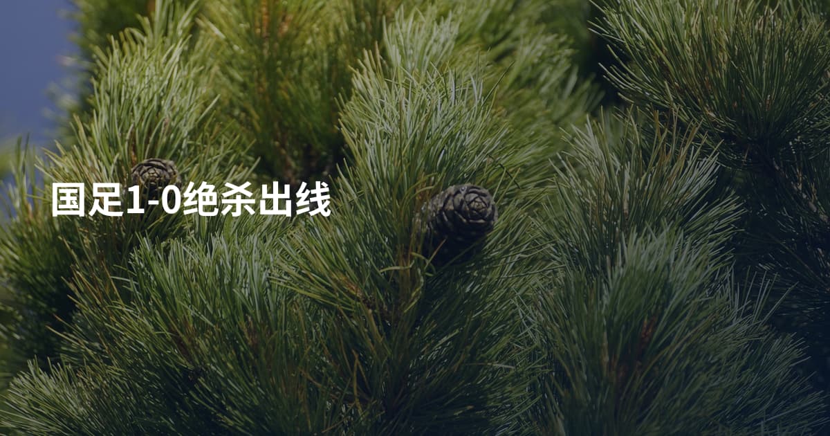 国足1-0绝杀出线